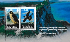 Click for enlargement