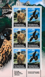 Click for enlargement