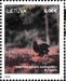 Black Grouse Lyrurus tetrix