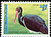 Black Stork Ciconia nigra