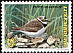 Little Ringed Plover Charadrius dubius  1993 Endangered birds 