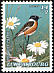 European Stonechat Saxicola rubicola  1994 Endangered birds 