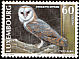 Western Barn Owl Tyto alba