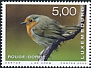 European Robin Erithacus rubecula