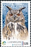 Eurasian Eagle-Owl Bubo bubo