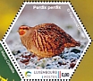 Grey Partridge Perdix perdix  2022 Birdpex 9 Sheet