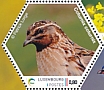 Common Quail Coturnix coturnix  2022 Birdpex 9 Sheet