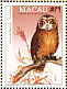 Western Barn Owl Tyto alba  1993 Birds of prey Sheet with 1 set