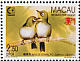 Warbling White-eye Zosterops japonicus