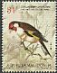 European Goldfinch Carduelis carduelis  2015 Birds 