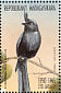 Crested Drongo Dicrurus forficatus  1999 Birds Sheet