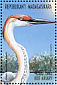 Goliath Heron Ardea goliath