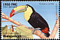 Keel-billed Toucan Ramphastos sulfuratus