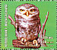 Spotted Owlet Athene brama