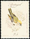 Common Firecrest Regulus ignicapilla  1987 Birds 