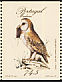 Western Barn Owl Tyto alba  1987 Birds Booklet, ctb