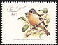 Common Chaffinch Fringilla coelebs  1988 Birds 