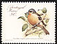 Madeira Chaffinch Fringilla maderensis