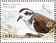 White-faced Storm Petrel Pelagodroma marina  2004 Fauna of the Selvagens Islands Sheet