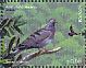 Trocaz Pigeon Columba trocaz  2011 Europa, in yearbook 2011 Prestige booklet