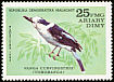 Hook-billed Vanga Vanga curvirostris  1982 Birds 