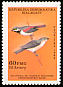 Red-tailed Vanga Calicalicus madagascariensis  1986 Birds 