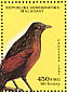 Malagasy Coucal Centropus toulou  1987 Endangered animals  MS