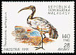 African Sacred Ibis Threskiornis aethiopicus  1991 Birds 