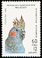 Cockatiel Nymphicus hollandicus  1993 Parrots 