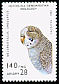 Budgerigar Melopsittacus undulatus  1993 Parrots 