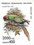 Military Macaw Ara militaris  1993 Parrots 