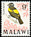 Yellow Bishop Euplectes capensis  1968 Birds 