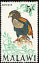 Bateleur Terathopius ecaudatus  1968 Birds 