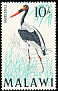 Saddle-billed Stork Ephippiorhynchus senegalensis  1968 Birds 
