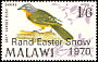 Grey-headed Bushshrike Malaconotus blanchoti  1970 Overprint Rand Easter Show 1970 on 1968.01 