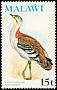 Denham's Bustard Neotis denhami  1975 Birds With wmk