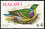 African Green Pigeon Treron calvus  1975 Birds With wmk