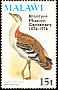 Denham's Bustard Neotis denhami  1976 Overprint Blantyre... on 1975.01 