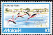 Greater Flamingo Phoenicopterus roseus  1982 National parks 4v set