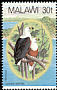 African Fish Eagle Icthyophaga vocifer