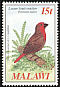 Lesser Seedcracker Pyrenestes minor  1985 Audubon Upright wmk