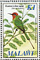 Böhm's Bee-eater Merops boehmi