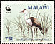 Wattled Crane Grus carunculata