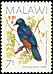 Waller's Starling Onychognathus walleri  1988 Birds 