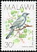 Grey Cuckooshrike Ceblepyris caesius  1988 Birds 