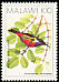 Anchieta's Sunbird Anthreptes anchietae  1988 Birds 