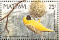 Lesser Masked Weaver Ploceus intermedius  1992 Birds Sheet