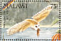 Western Barn Owl Tyto alba  1992 Birds Sheet