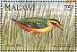 African Pitta Pitta angolensis  1992 Birds Sheet