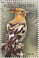 Eurasian Hoopoe Upupa epops